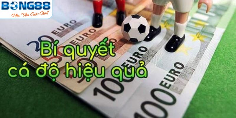 Bỏ túi bí kíp đặt cược giúp thắng lớn