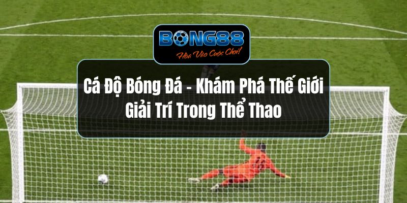 Cá Độ Bóng Đá  - Khám Phá Thế Giới Giải Trí Trong Thể Thao