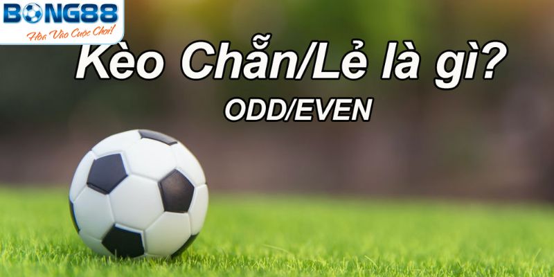 Thuật ngữ kèo chẵn lẻ là gì? 