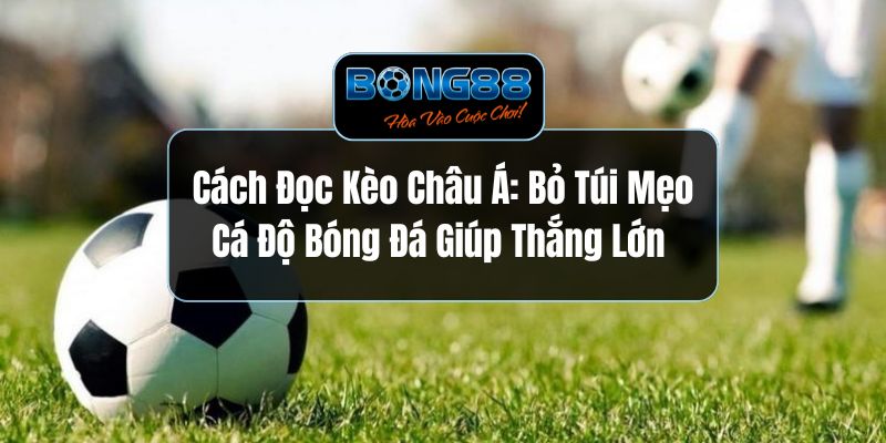 Cách Đọc Kèo Châu Á: Bỏ Túi Mẹo Cá Độ Bóng Đá Giúp Thắng Lớn 