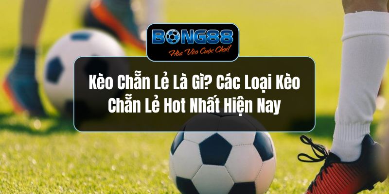 Kèo Chẵn Lẻ Là Gì? Các Loại Kèo Chẵn Lẻ Hot Nhất Hiện Nay