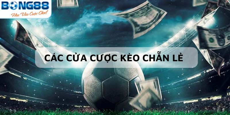 Các cửa cược kèo chẵn lẻ phổ biến