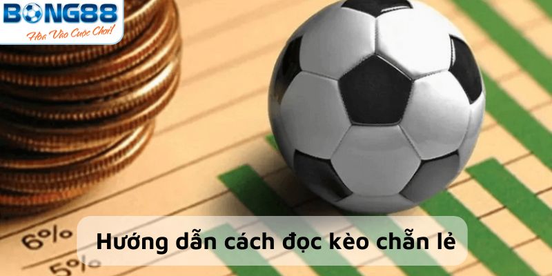 Chia sẻ cách đọc kết quả kèo chẵn lẻ 